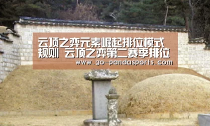 熊猫体育平台